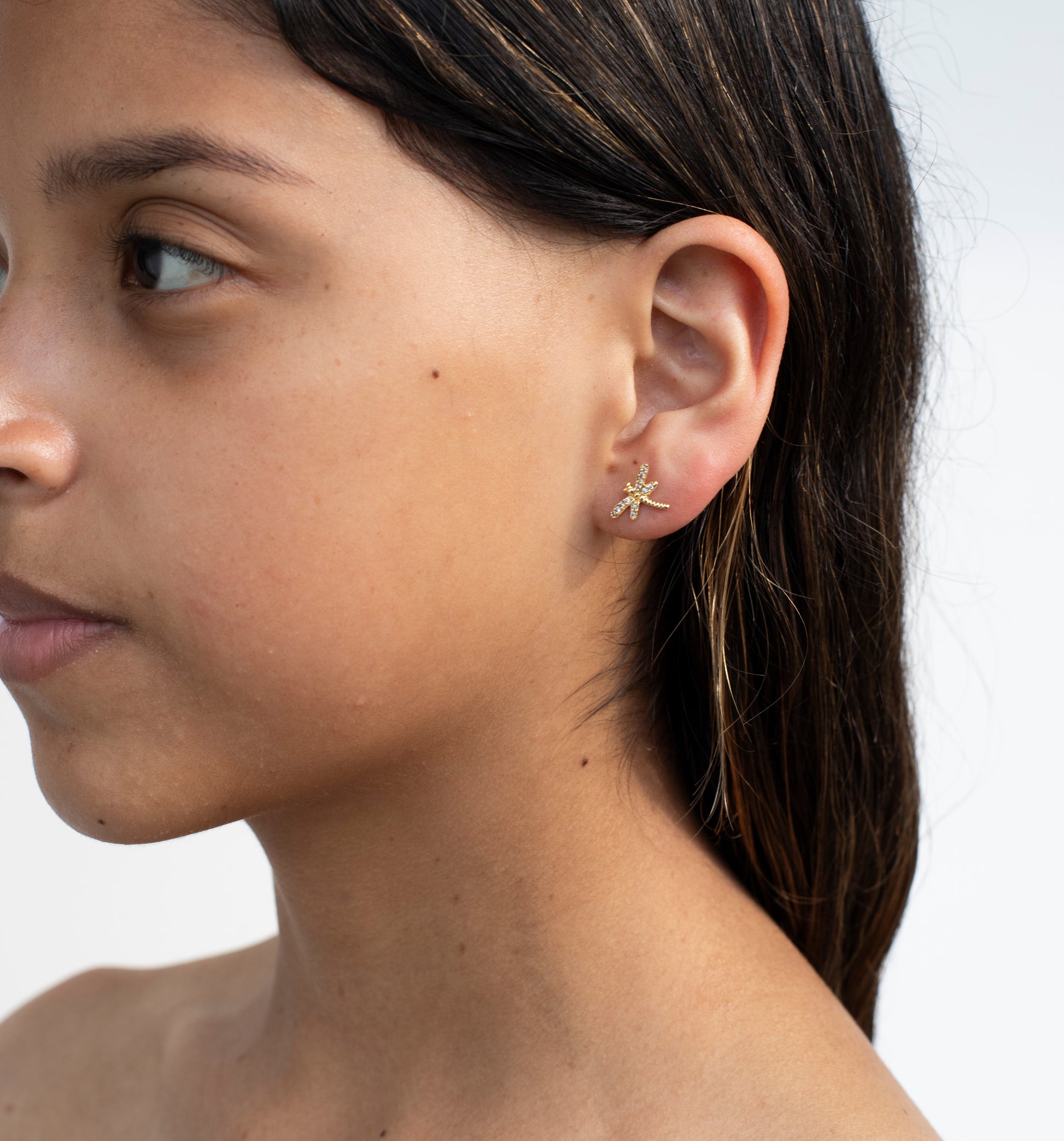 ARETES LIBÉLULA